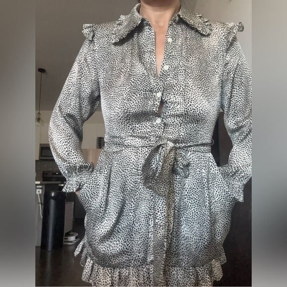 NWT Pink Martin leopard print ruffled mini shirtdress Size M - Picture 3 of 12